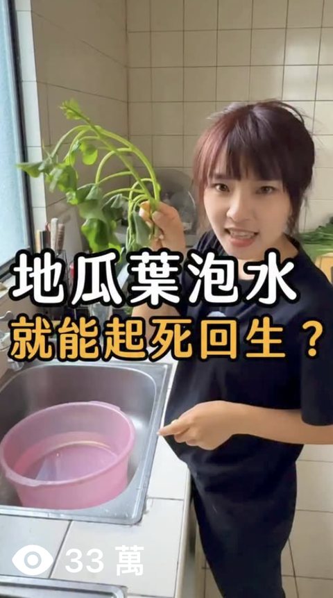 農場 短影音,觀看 33萬