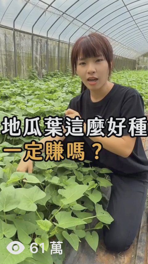 農場 短影音,觀看 61萬