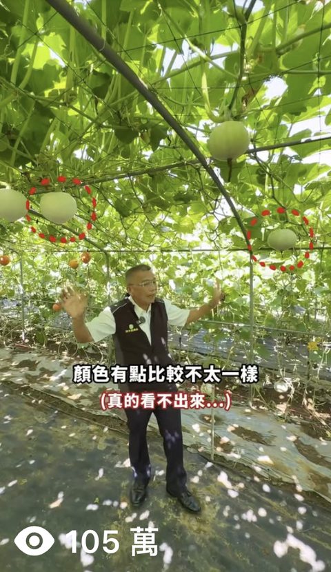 在地農會 淡水區農會 短影音,觀看 105萬